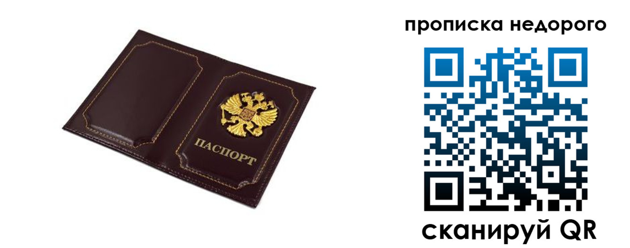 пропишу в квартире в Вольске